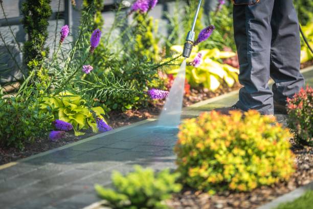 Best Sidewalk and Walkway Pressure Cleaning in River Oaks, TX
