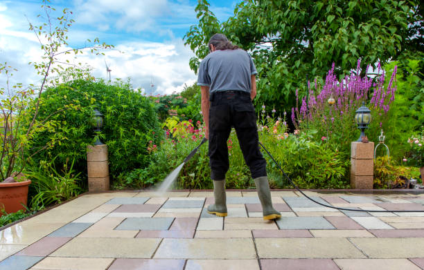 Best Residential Pressure Washing in River Oaks, TX